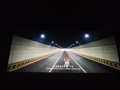 -百美汇影城(LUXE嘉里中心店)