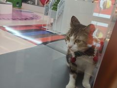-福田卓悦INTOWN购物中心