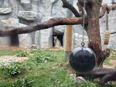 -青藏高原野生动物园