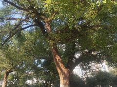 -浙江大学(玉泉校区)