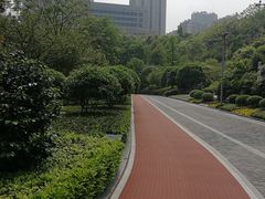 -龙头寺公园