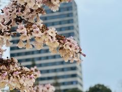 -成都市活水公园