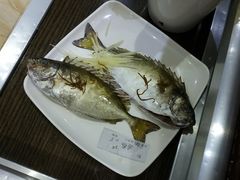 泥猛鱼-海大大蒸汽海鲜餐厅·粤菜·特色小炒(欢乐颂店)