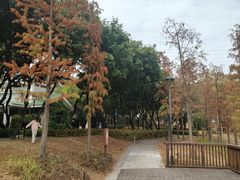 -王借岗森林公园