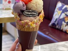 -哈根达斯(西安北郊店)
