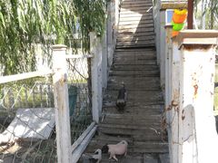 -北京鹿世界主题园
