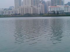 -白鹭洲公园