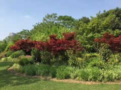 -尚贤河湿地