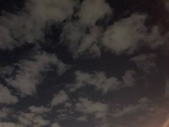 -爪爪西施