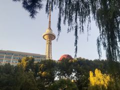 -龙塔