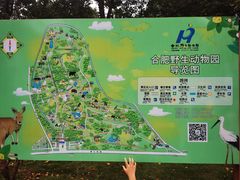 -合肥野生动物园