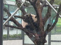 -无锡动物园·太湖欢乐园
