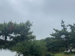 -日照海滨国家森林公园