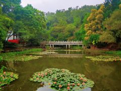 -深圳国际园林花卉博览园