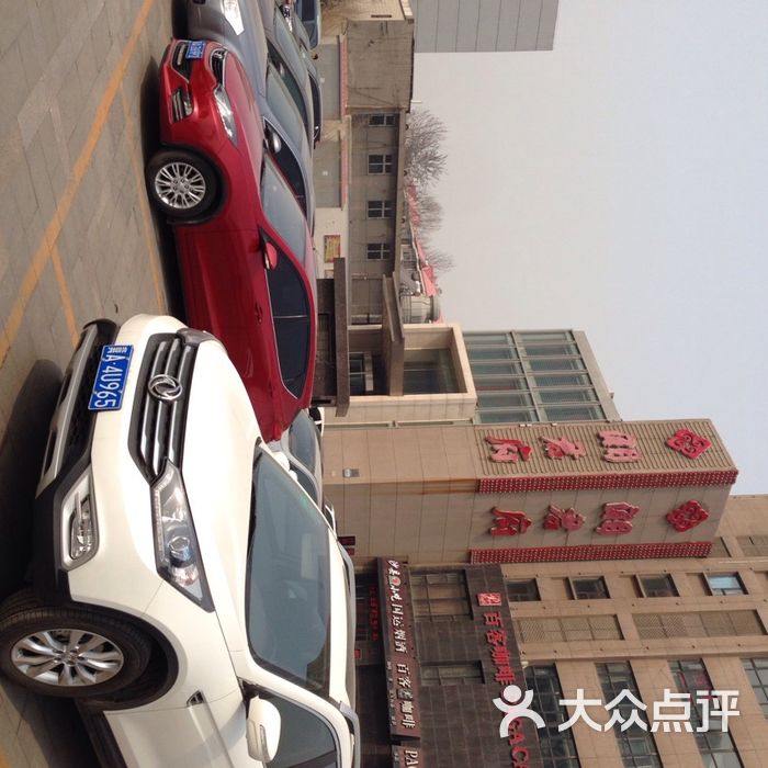 湘君府茼蒿苦累图片-北京湘菜-大众点评网