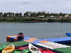 -春花秋色城市公园