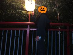 景点-上海欢乐谷