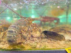 -顺德了能馆(虎门店)