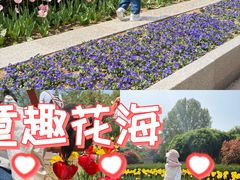 -石家庄市植物园