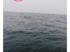 -仙螺岛海鲜自助餐厅(总店)