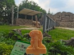 -成都动物园