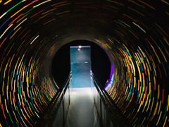 -贝壳梦幻世界