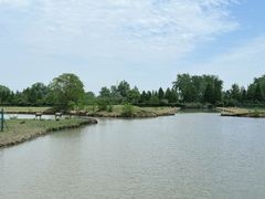 -溱湖国家湿地公园