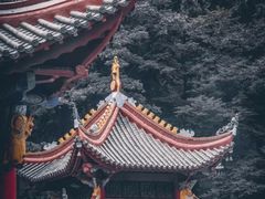-黔灵山公园