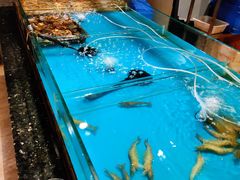 -阳光岛·海鲜盛宴(银泰中心in99店)