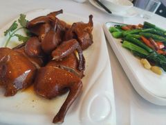 -沙龙酒家
