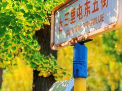 -三里屯东五街银杏大道