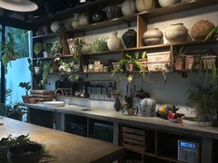 -自由生长植物工作室(深港花卉中心店)