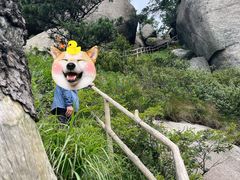 -妙道山国家森林公园