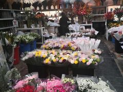 -秦美花卉(天朗·莱茵小城2期店)