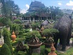 -东芭乐园