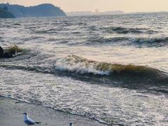 -捞渔河湿地公园