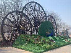 -呀路古热带植物园