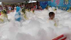 -上美四季动物农场