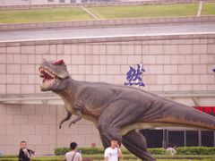 -陕西自然博物馆