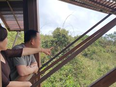 -三亚亚龙湾人间天堂鸟巢度假村