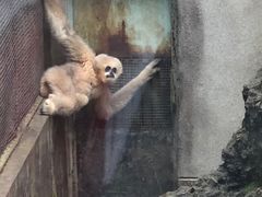 -昆明动物园