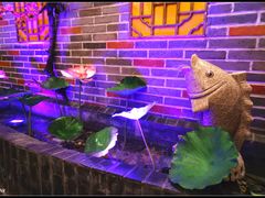 -富侨养生(光大会展店)