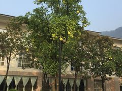 -张家界青和锦江国际酒店