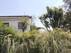 -悦哉·派对·草坪婚礼·围炉煮茶(三圣乡店)