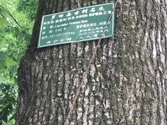 -罗田薄刀峰风景区