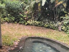 -碧桂园润杨溪谷温泉酒店