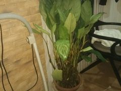 -北纬37°SPA养身会馆(湖西店)