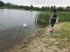 -永定河休闲森林公园