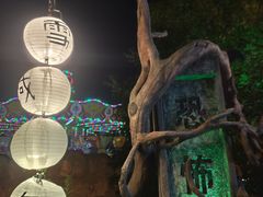 -横店影视城梦幻谷园区
