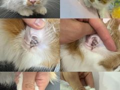 -悠尼宠物·独立低压伊珊娜洗护·美容·寄养(兰谷路店)